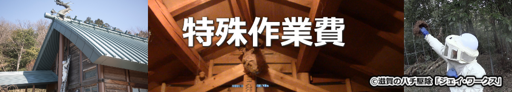 野洲市のハチ駆除特殊作業費